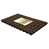 Bandeja semillero Eazy Gardening Plug - 77 Alvéolos (52x31cm)